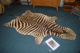 Zebra Skin Rug