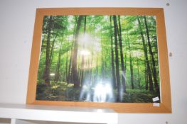 *Framed Woodland Scene Print