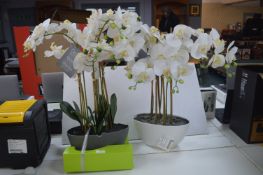 *Two Artificial Orchid Arrangements (some faults t