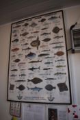 *Framed Sea Fish Diagram by Van Der Lee 100x70cm