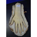 *Plaster Mould and Cast with Latex Hand 12” length