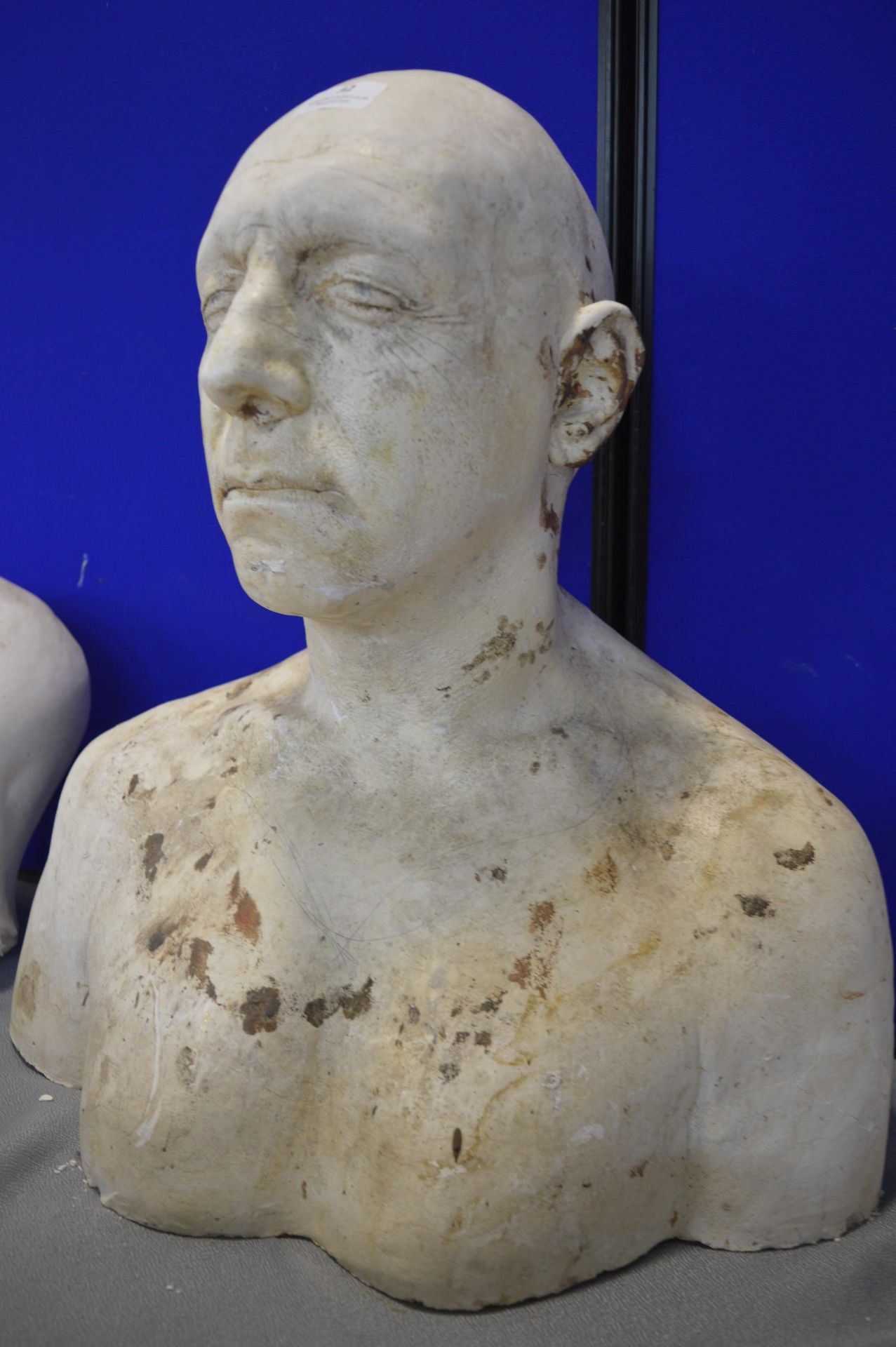 *Plaster Head & Shoulder Bust 21” height - Image 3 of 4