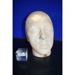 *Male Solid Plaster Bust