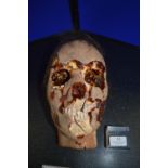 *Plaster Horror Skull with Realistic Detail and Real Hair