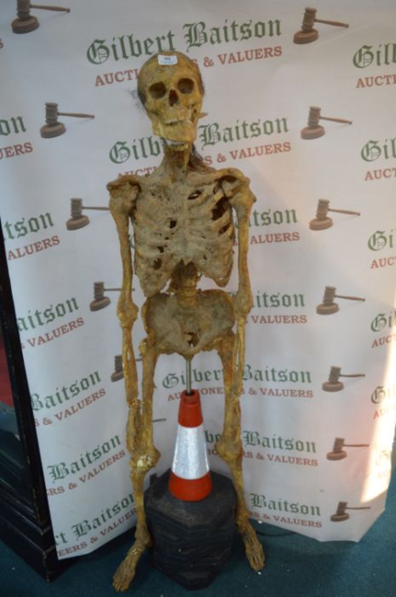 *Realistic Resin Skeleton - Image 2 of 7
