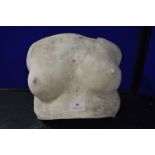 *Plaster Cast of a Female Chest