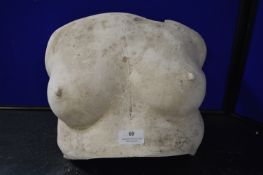 *Plaster Cast of a Female Chest