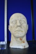*Solid Plaster Male Bust