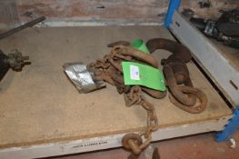 Lifting Chain and a Swivel Hook