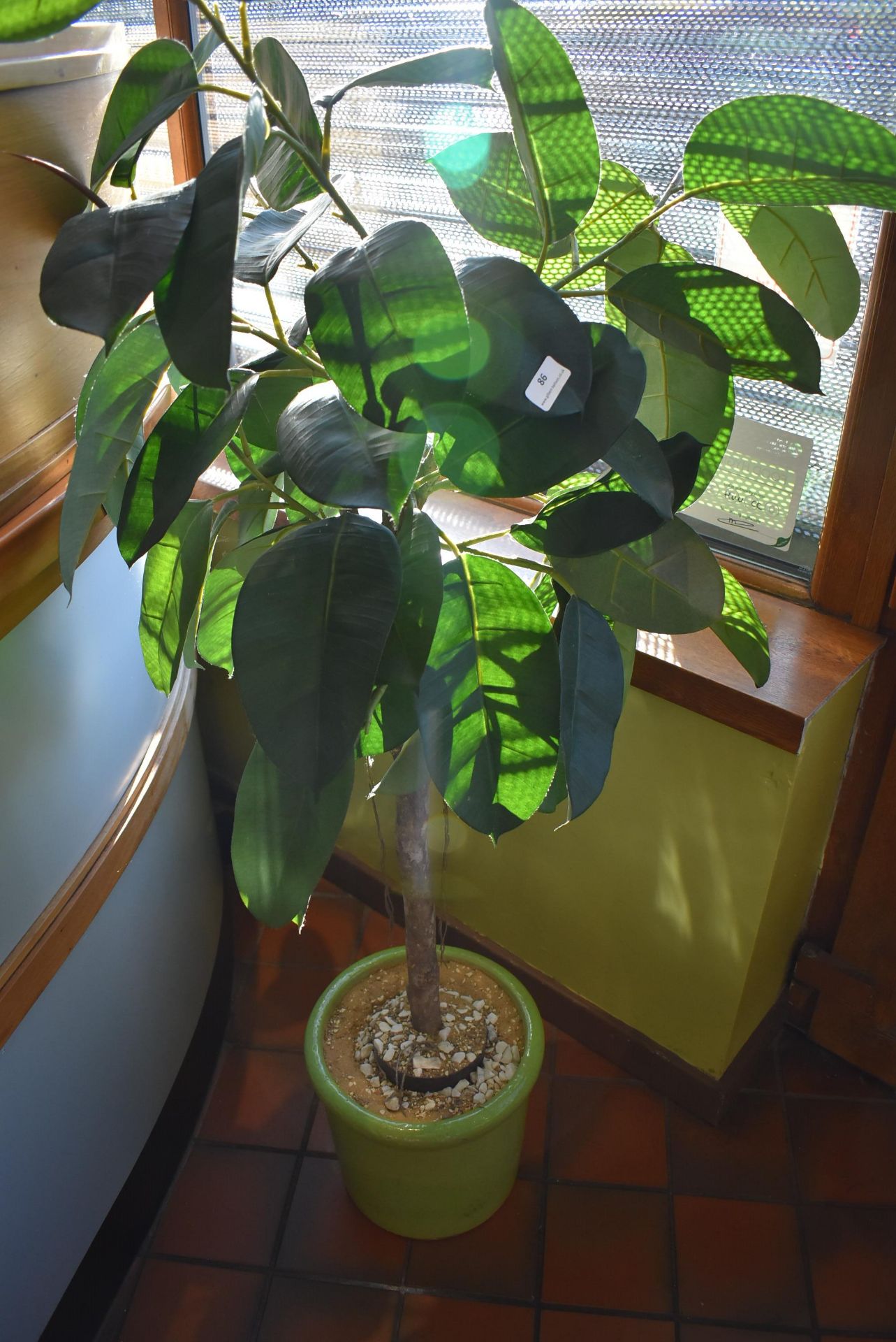 *Artificial Rubber Plant