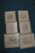 Six Small Victorian Pencil and Watercolour Sketches by A.E. Hodgetts