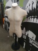 * male mannequin on stand