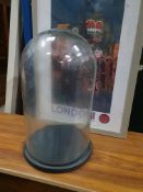 * glass display dome with base SIZE