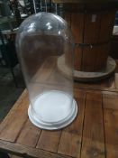 * glass display dome with base - approx. 530h