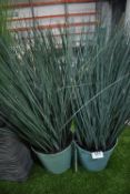 *Pair of Artificial Blue Grasses