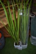 *Pair of Artificial Irises in Pots