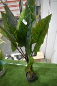 *Artificial Rubber Plant