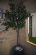 *Artificial Olive Tree in Planter with Mains Powered LED Lights