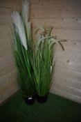 *Two Artificial Grasses