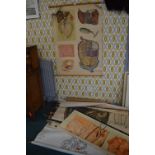 Vintage Dutch School Biology Canvas Posters