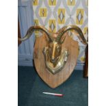 Brass Rams Head Mounted on Wooden Plaque
