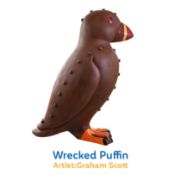 Wrecked Puffin by Graham Scott