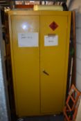 *Yellow Hazardous Substances Locker 46x92cm x 180cm tall