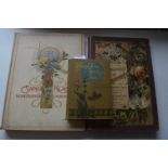 Three Illustrated German Books Including Floral Botanical Studies, etc.