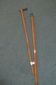 Two Walking Canes with Silver Ferrules