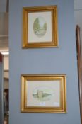 Pair of Small Gilt Framed Watercolours