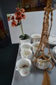 Pottery Planters and Artificial Orchids