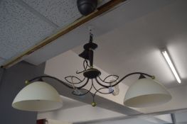 Twin Lamp Ceiling Light