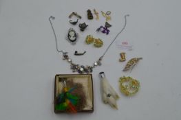 Vintage Costume Jewellery Brooches and Charms