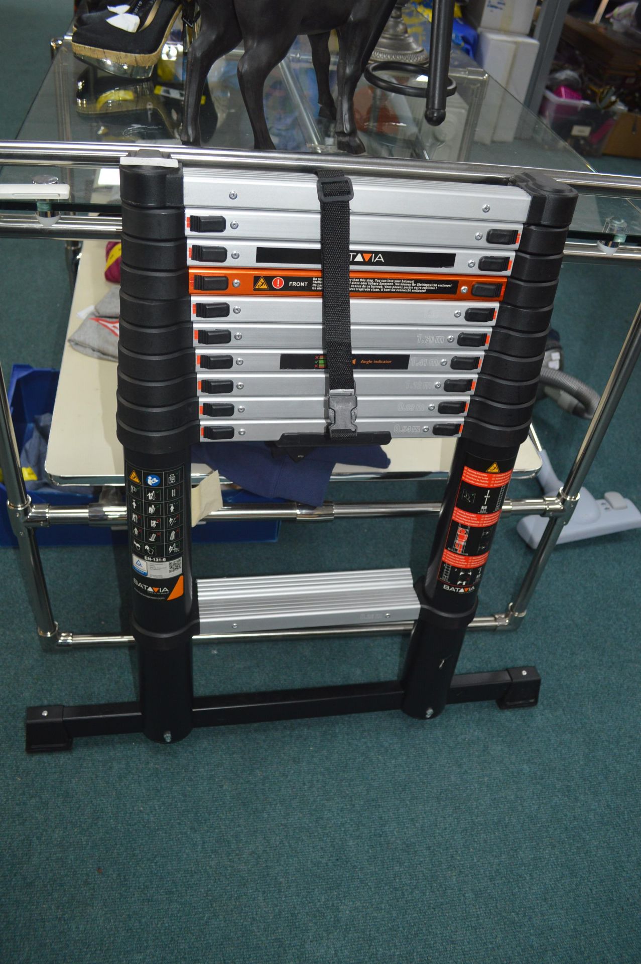 *Batavia Telescopic Ladder