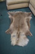 Deerskin Rug