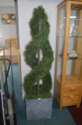 *Cedar Twist Topiary in Slate Effect Pot