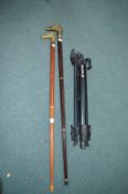 Pair of Walking Sticks with Brass Horse Heads plus