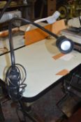 Clamp On Adjustable Halogen Lamp