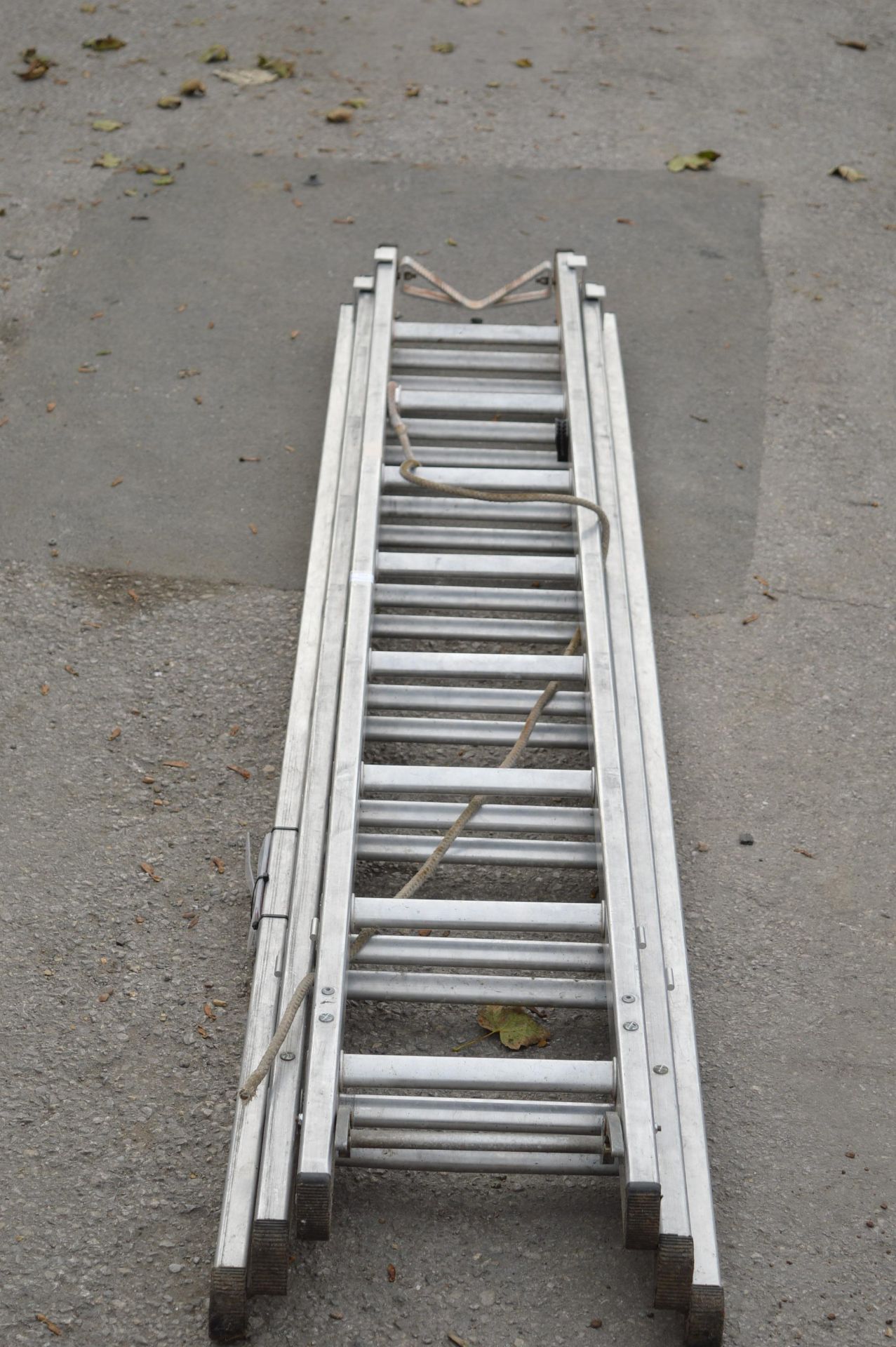 *Lyte 2.5m-5.96m Extending Ladders