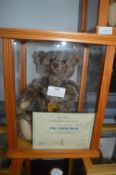 Steiff Bear of the Year 2006 No. 1515 with Display