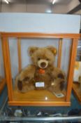 Steiff Teddy Bear with Display Case