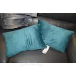 *Pair of Teal Cushions (AF)