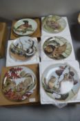 Studio Porcelain Wall Plates