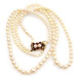 A two strand necklace of graduated cultured pearls, on a pearl, garnet and 9ct gold clasp.