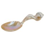 A polished shell formed spoon, with an oval bowl, and stemmed shell handle, 23cm wide.