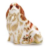 A Royal Crown Derby porcelain Cavalier King James Spaniel paperweight, red printed marks and gold st