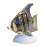A Royal Crown Derby porcelain Angelfish paperweight, from the Tropical Fish Range, red printed marks