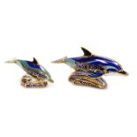 Two Royal Crown Derby porcelain paperweights, comprising Bottlenose Dolphin, 18cm wide, and Baby Bot