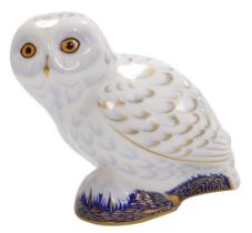 A Royal Crown Derby porcelain Snowy Owl paperweight, an exclusive for the Royal Crown Derby Collecto