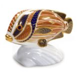 A Royal Crown Derby porcelain Sweet Lips paperweight, from the Tropical Fish Range, red printed mark